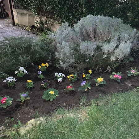 Residenza Ca' Degli Enzi Bed and Breakfast Βερόνα